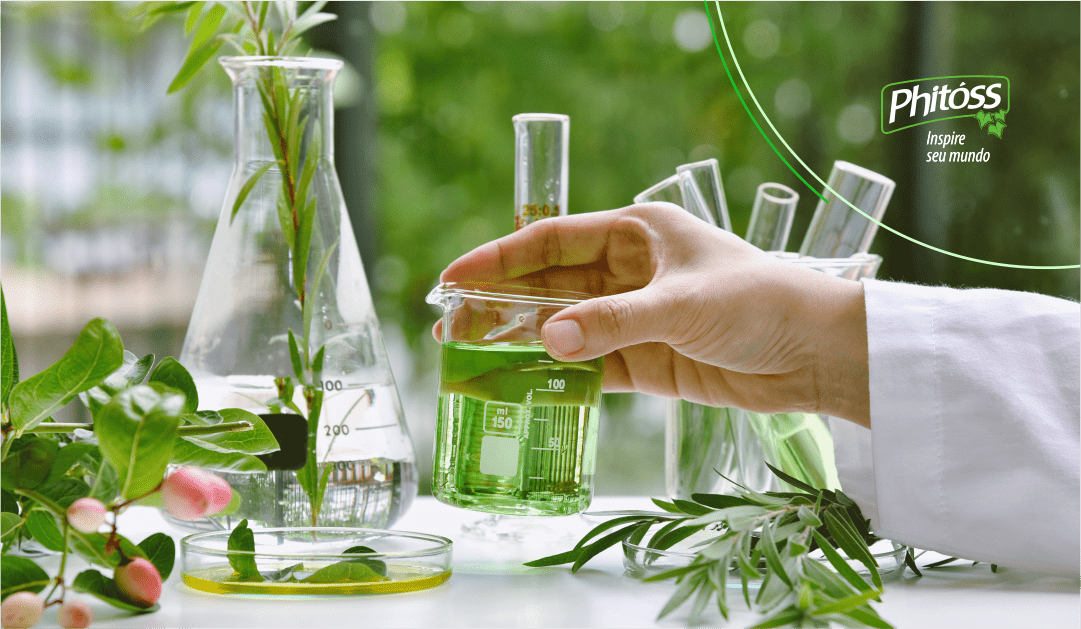 Phitoss-Capa-Blog-Outubro-1
